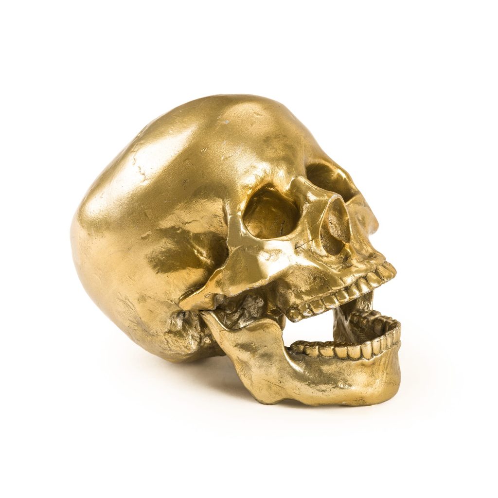 Статуэтка Human Skull Seletti Wunderkammer 10891 в Санкт-Петербурге