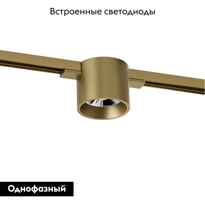 Трековый однофазный светильник Denkirs Shine spot DK5743-SB в Санкт-Петербурге