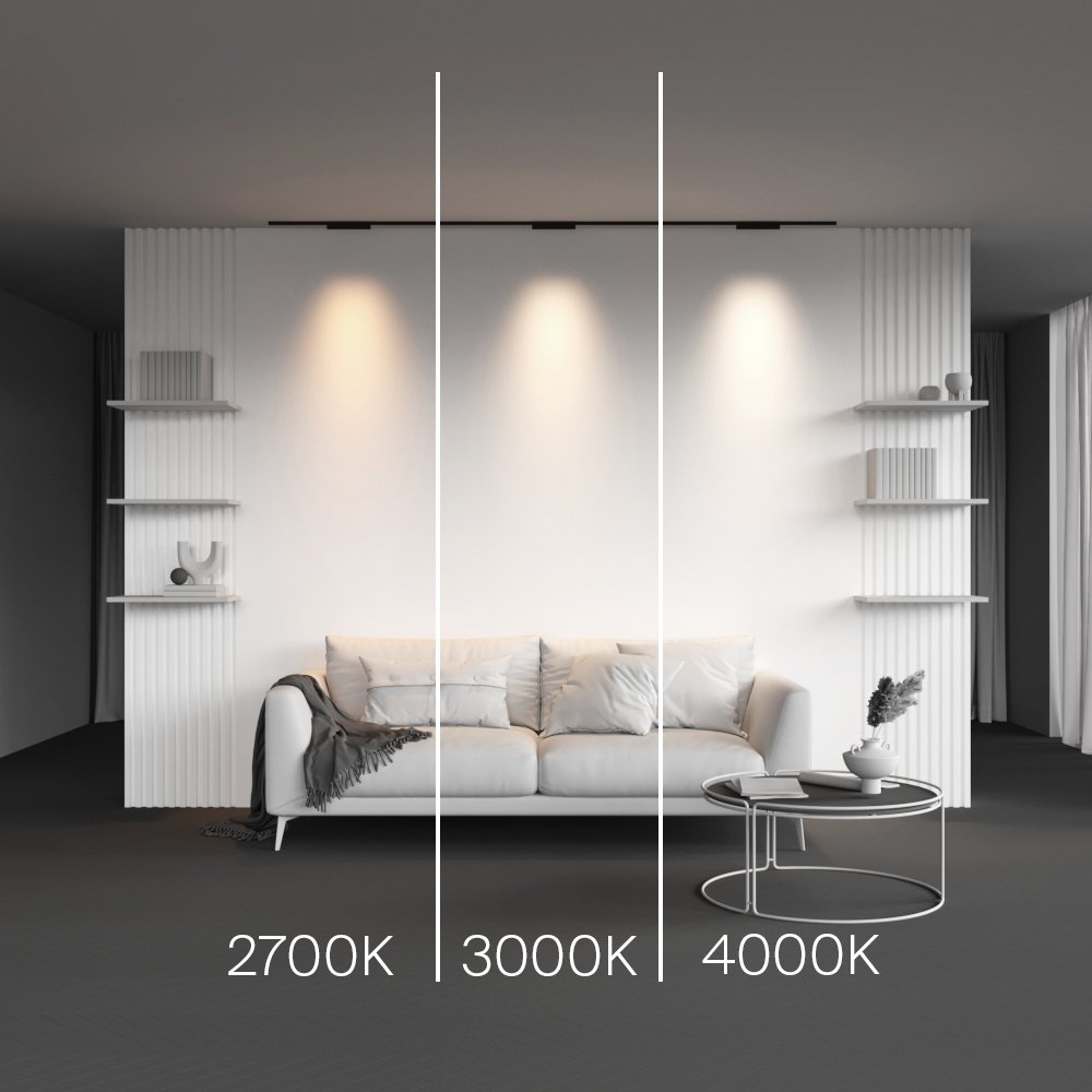 Трековый магнитный светильник Maytoni Points TR193-1-10W4K-M-B в Санкт-Петербурге