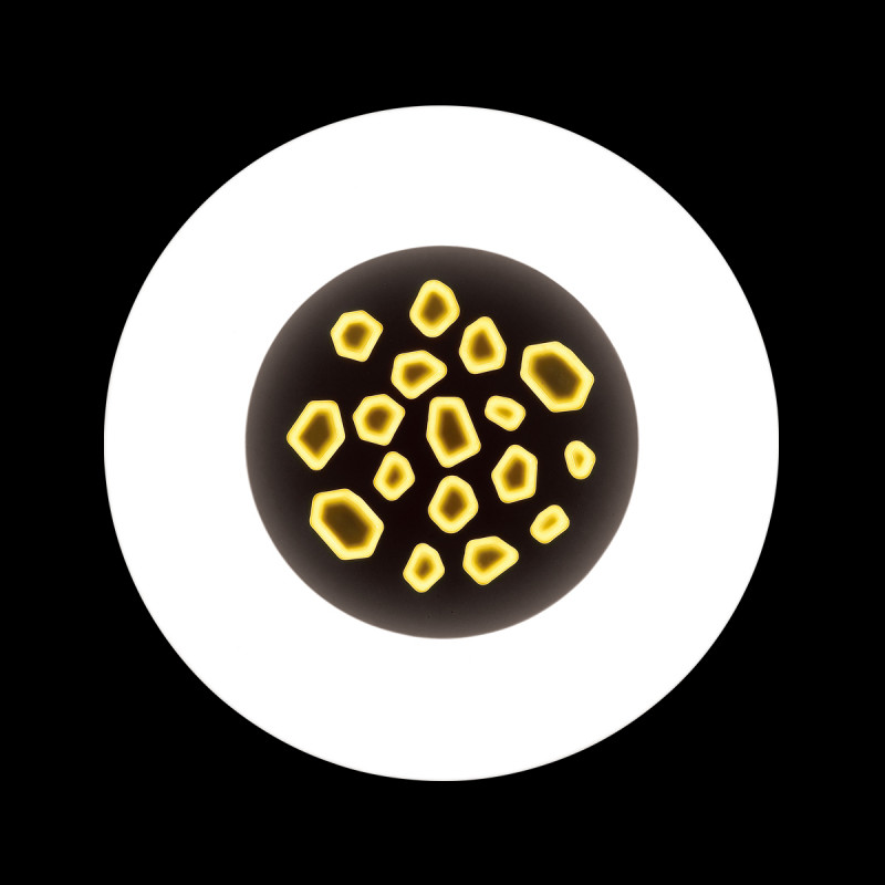 Накладной светильник Sonex 3026/80CL в Санкт-Петербурге