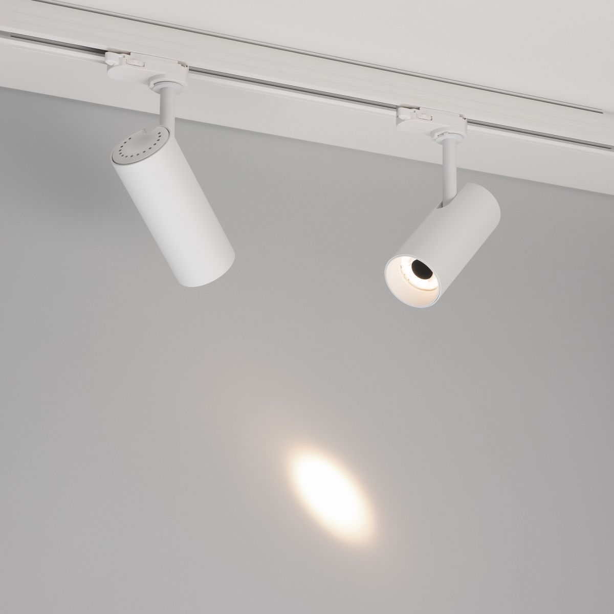 Трековый трехфазный светильник Arlight LGD-SILMA-4TR-R55-4W Day4000 (WH, 4 deg, 230V) (IP20 Металл) 060463 в #REGION_NAME_DECLINE_PP#