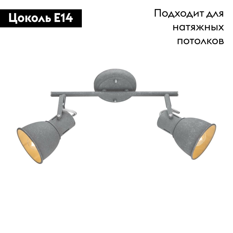 Спот Arte Lamp A1677PL-2GY в Санкт-Петербурге