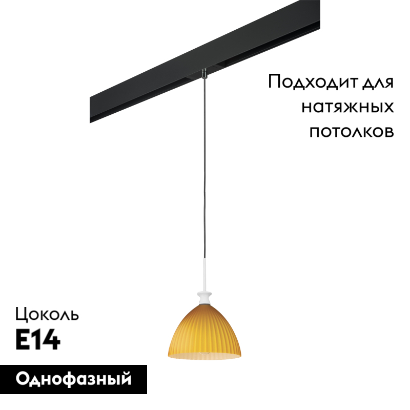 Трековый светильник Lightstar Agola PRO810023 (810023+595007) в Санкт-Петербурге