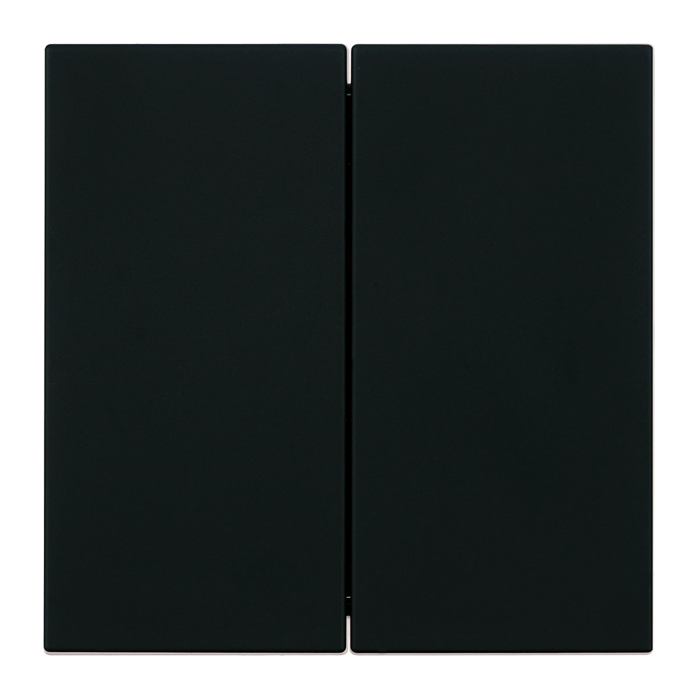 Переключатель 2-клавишный (механизм) Stekker Мия 250В 10А RSW10-3107-05 черный бархат 50448 в Санкт-Петербурге