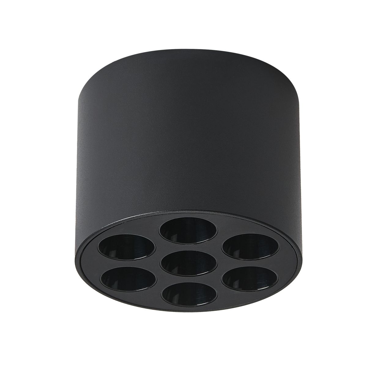 Потолочный светильник Lightstar Guarda 080647 в Санкт-Петербурге