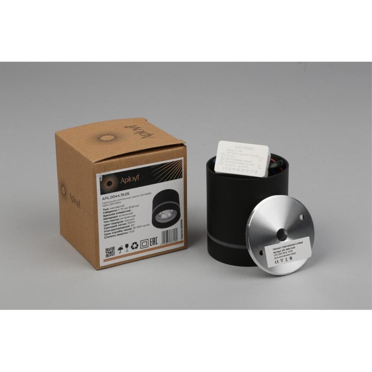 Потолочный светильник Aployt Gita APL.0044.19.05 в Санкт-Петербурге