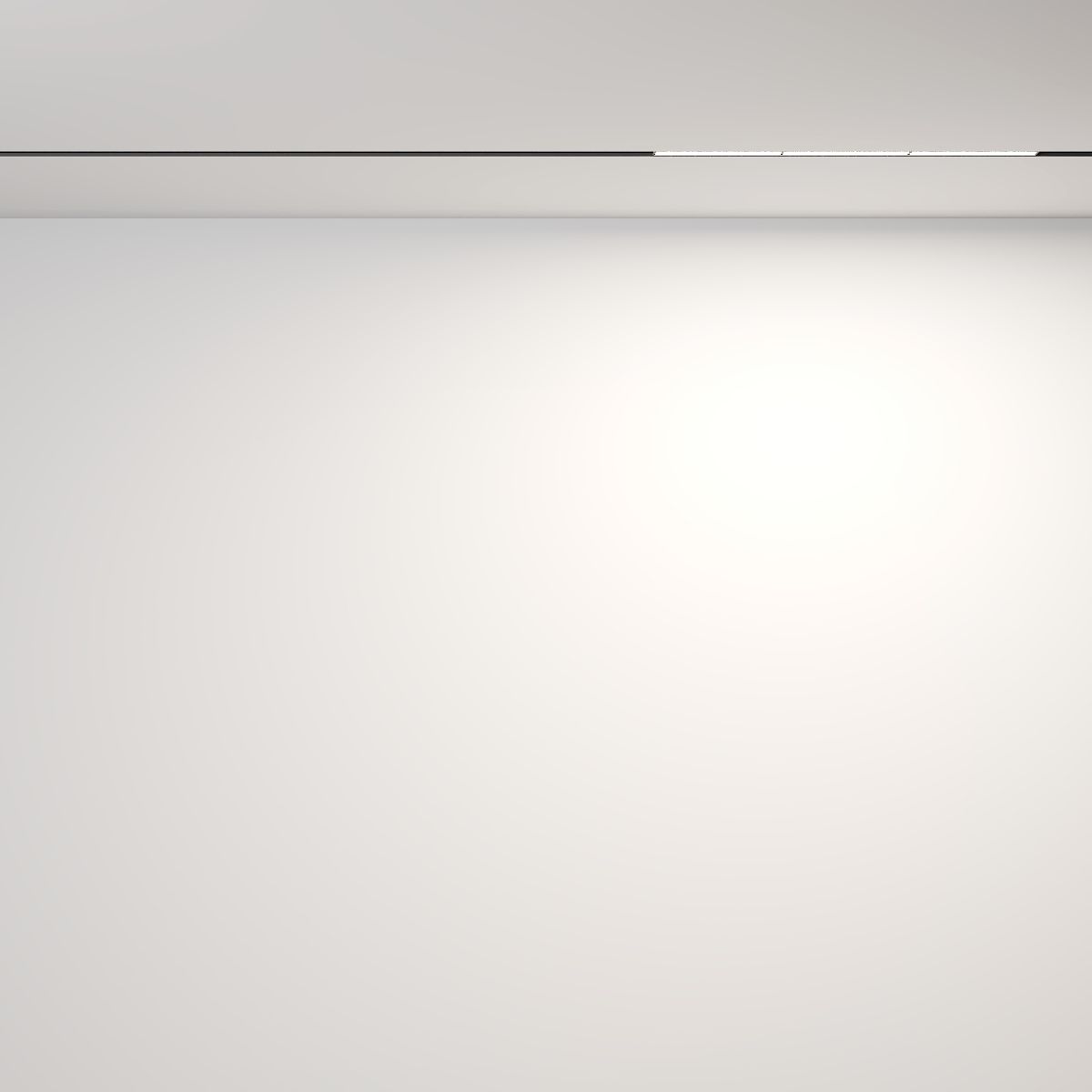 Трековый магнитный светильник на потолок Maytoni Parete TR106-2-18W4K-B в Санкт-Петербурге