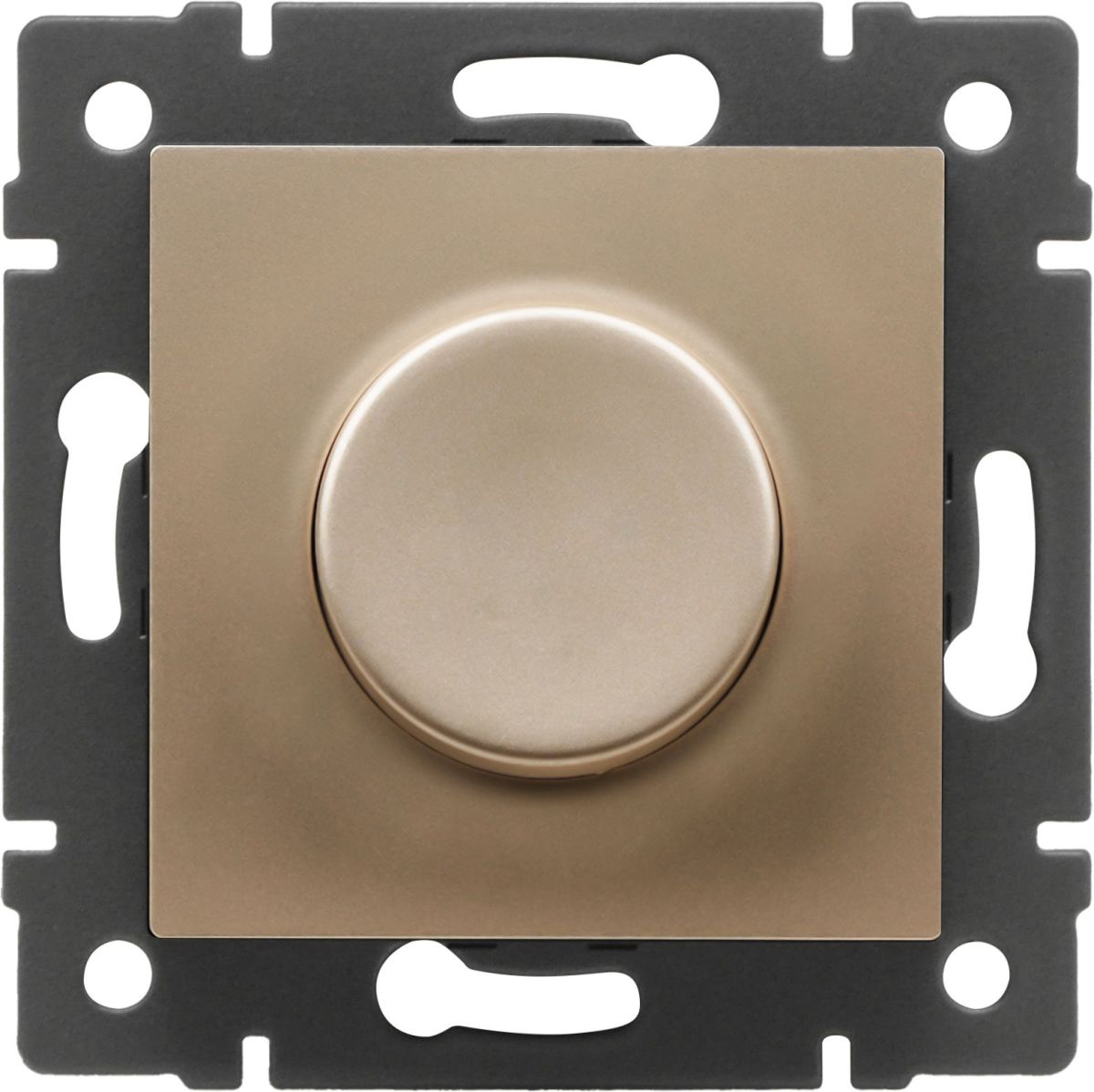 Механизм светорегулятора Arlight SWT-DLR-GD-V (250V, 10A) 049866 в Санкт-Петербурге