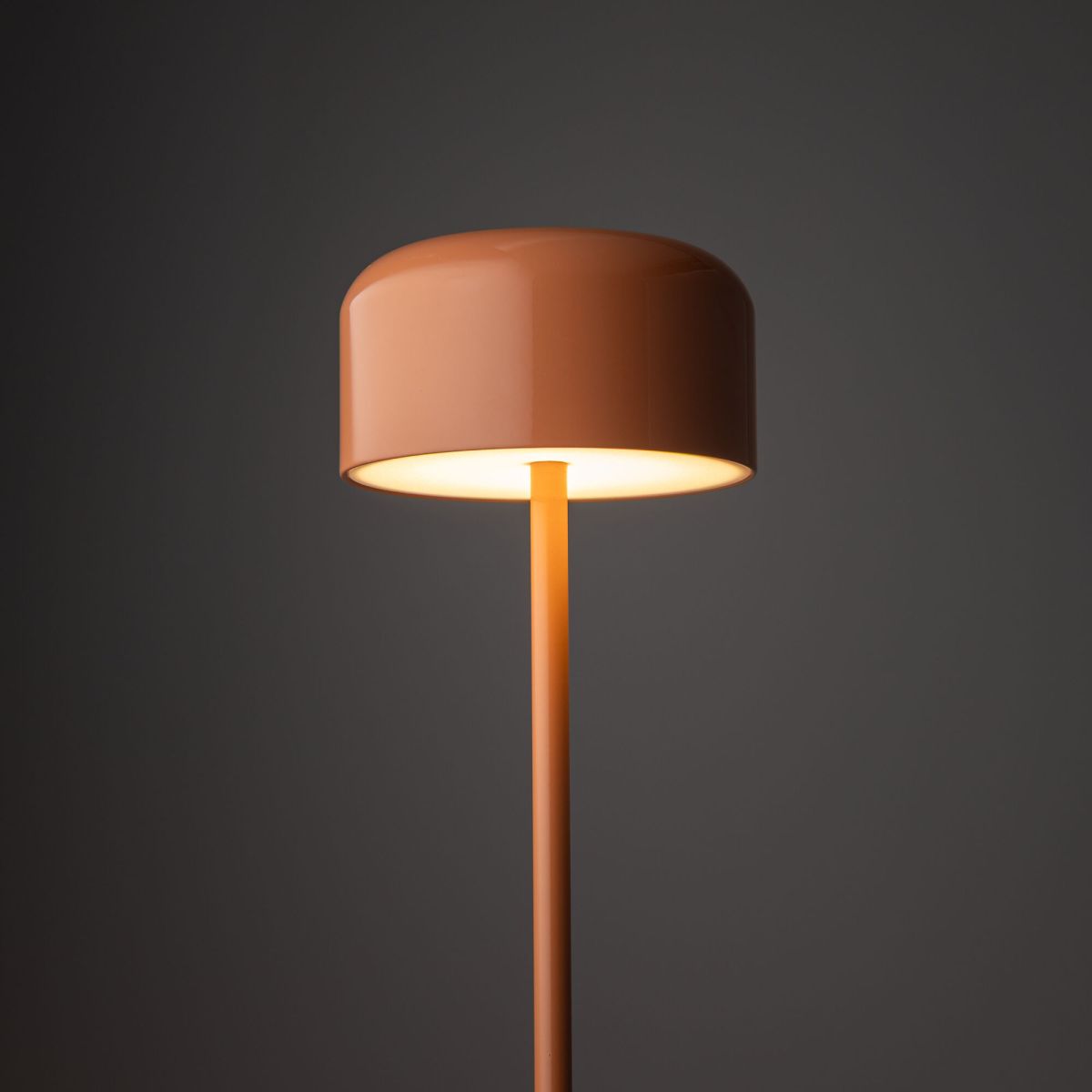Торшер TK Lighting 19008 Noa Salmon a073036 в Санкт-Петербурге