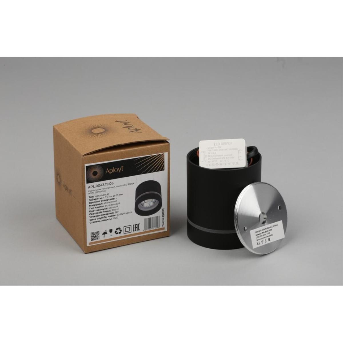 Потолочный светильник Aployt Gita APL.0043.19.05 в Санкт-Петербурге