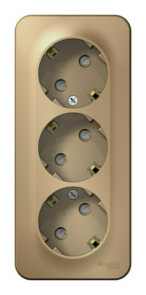 Розетка 3-ая с/з со шторками 16А, 250В, изолир. Пластина Systeme Electric Blanca наруж Титан BLNRA011314 в Санкт-Петербурге