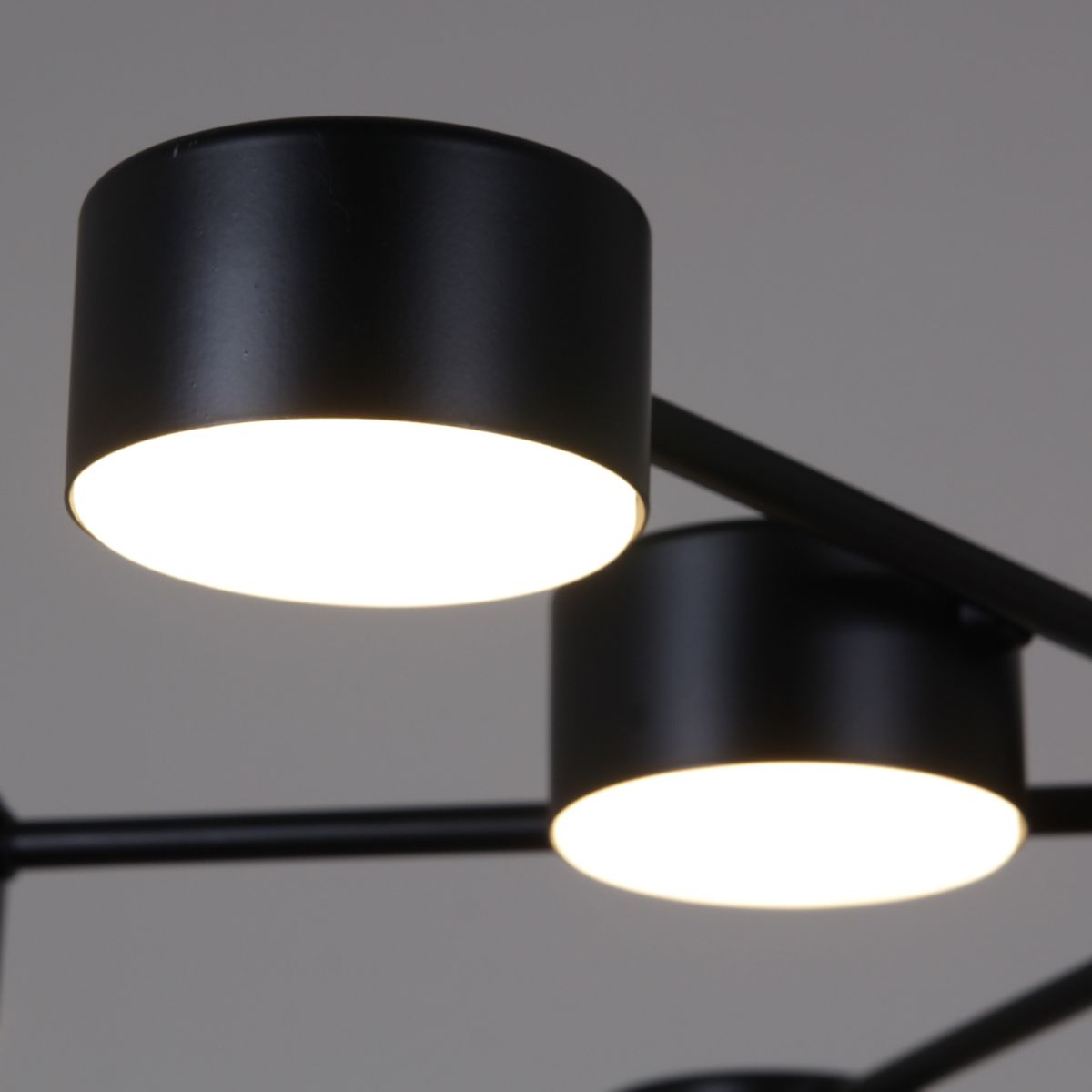 Люстра на штанге Reluce 03738-0.3-09 BK GX53 в Санкт-Петербурге