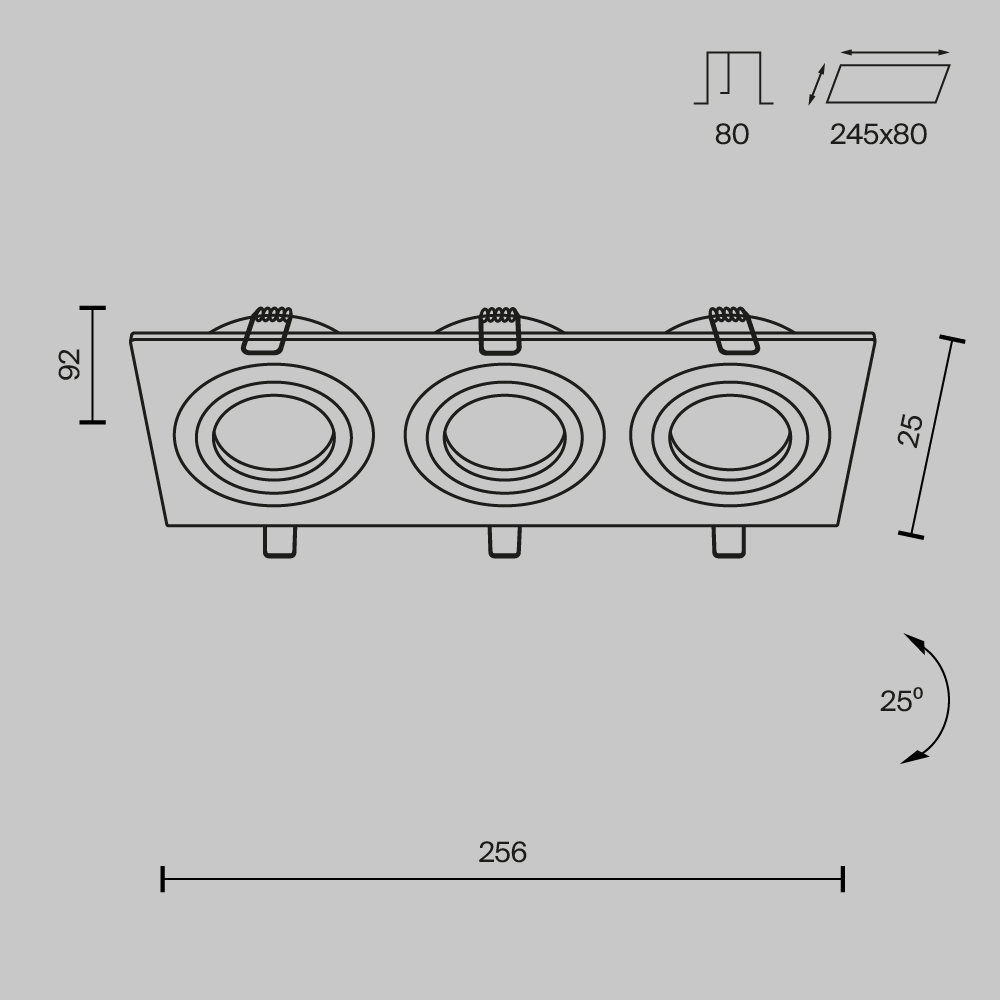 Встраиваемый светильник Maytoni Atom DL024-2-03W в Санкт-Петербурге