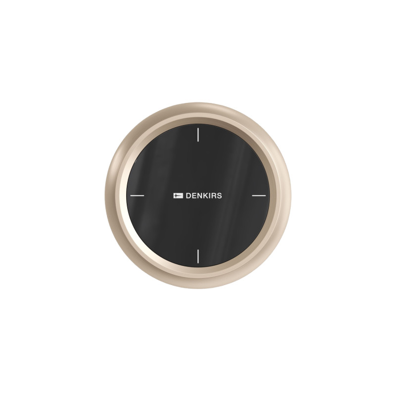 Панель управления Denkirs SHINE PRIME CONTROL DK4906-CP в Санкт-Петербурге