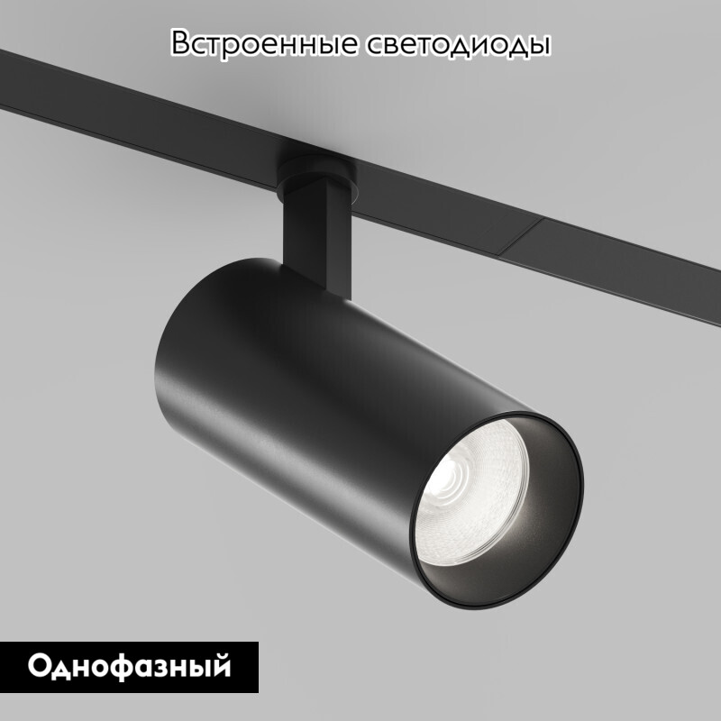 Трековый однофазный светильник Denkirs Simple Spot DK8220-BK в Санкт-Петербурге