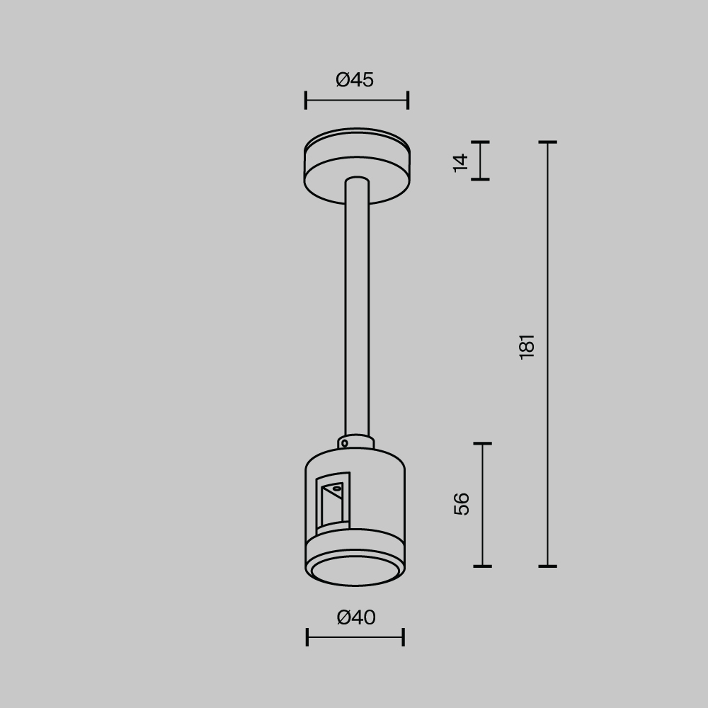 Крепление потолочное с прямым коннектором питания Maytoni Flarity TRA156C-IPCL1-PT в Санкт-Петербурге