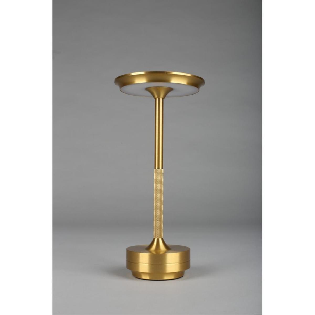 Настольная лампа Omnilux OML-40414-01 в Санкт-Петербурге