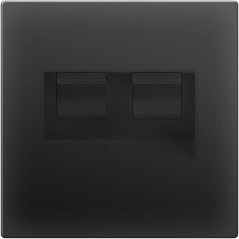 Розетка Werkel двойная Ethernet RJ-45 черный матовый WL08-RJ45+RJ45 4690389073564 в Санкт-Петербурге