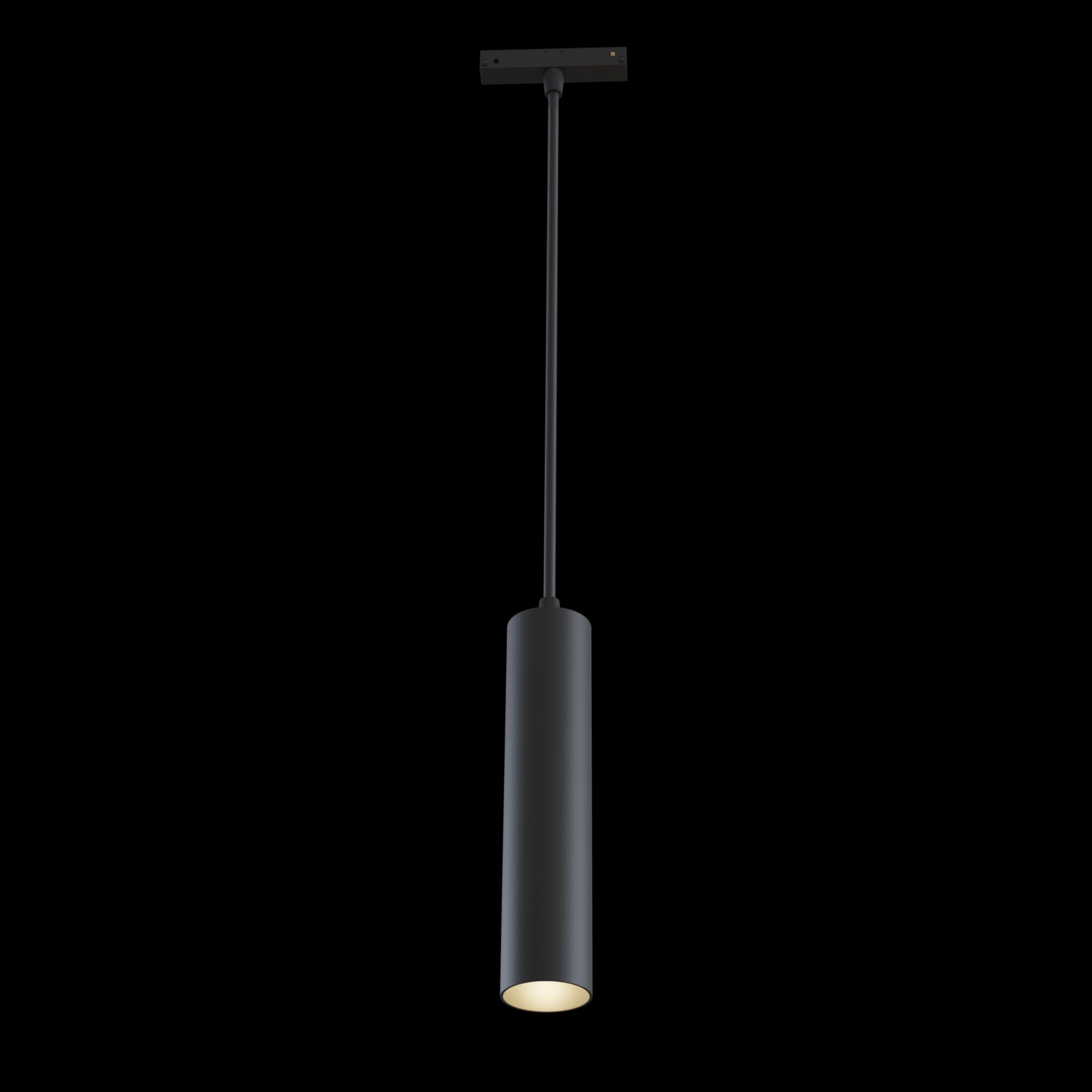 Трековый светильник Maytoni Track lamps TR016-2-12W3K-B в Санкт-Петербурге