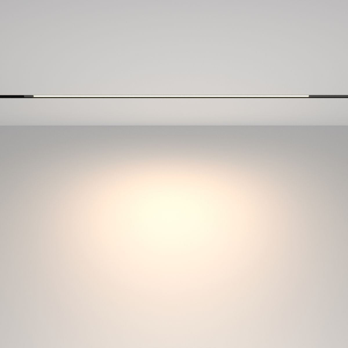 Трековый магнитный светильник Maytoni Technical Basis TR231-2-15W4K-B в Санкт-Петербурге