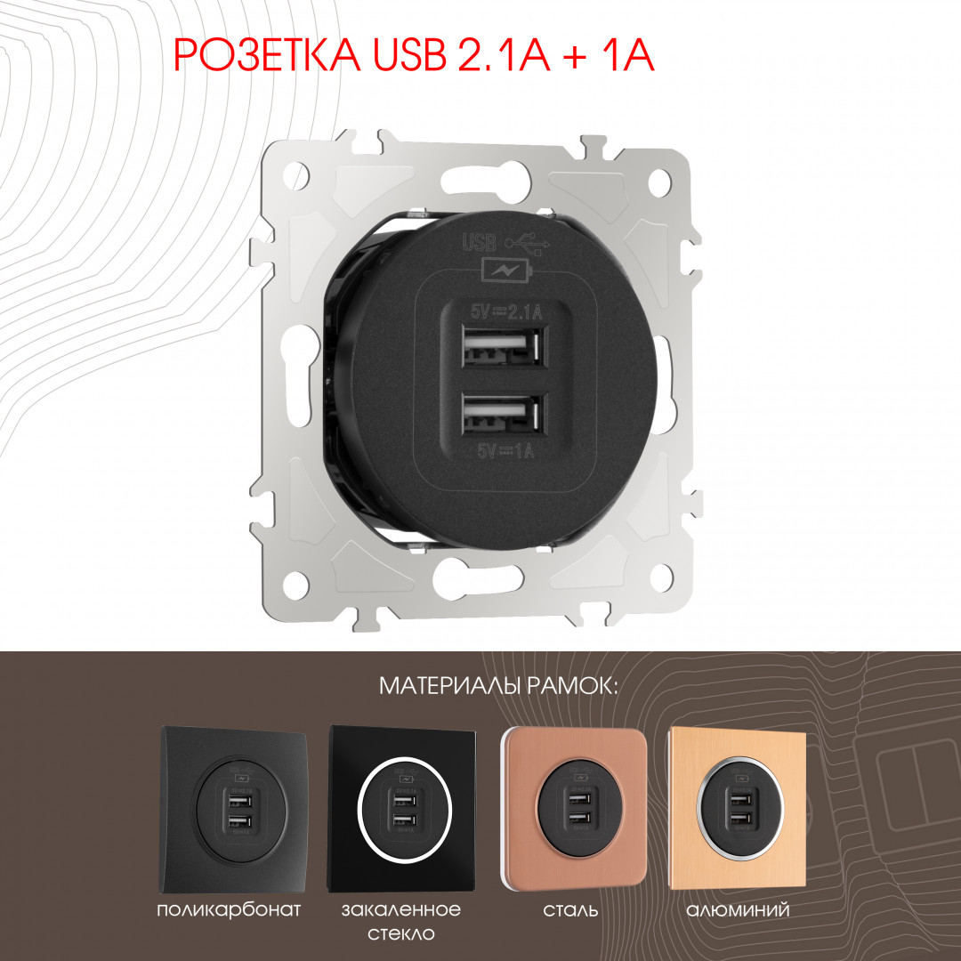 Розетка USB 2.1А+1А Arte Milano 202.46-1.black в #REGION_NAME_DECLINE_PP#