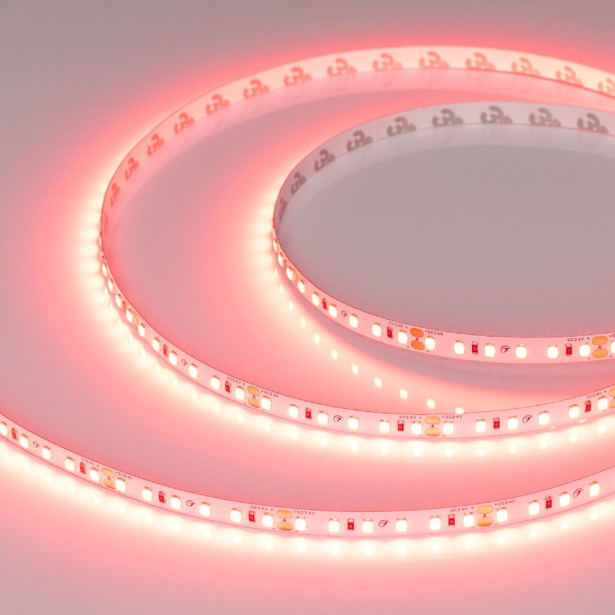 Светодиодная лента Arlight RT-A120-8mm 24V Scarlet (9.6 W/m, IP20, 2835, 5m) 043383 в Санкт-Петербурге