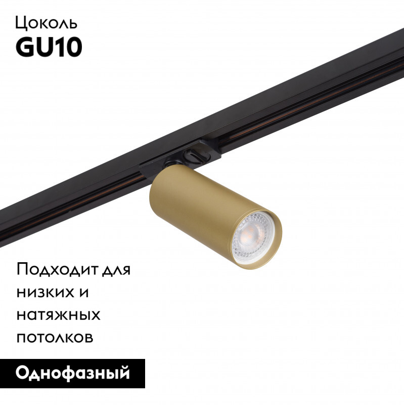 Трековый светодиодный светильник Denkirs Tube DK6202-BG в Санкт-Петербурге