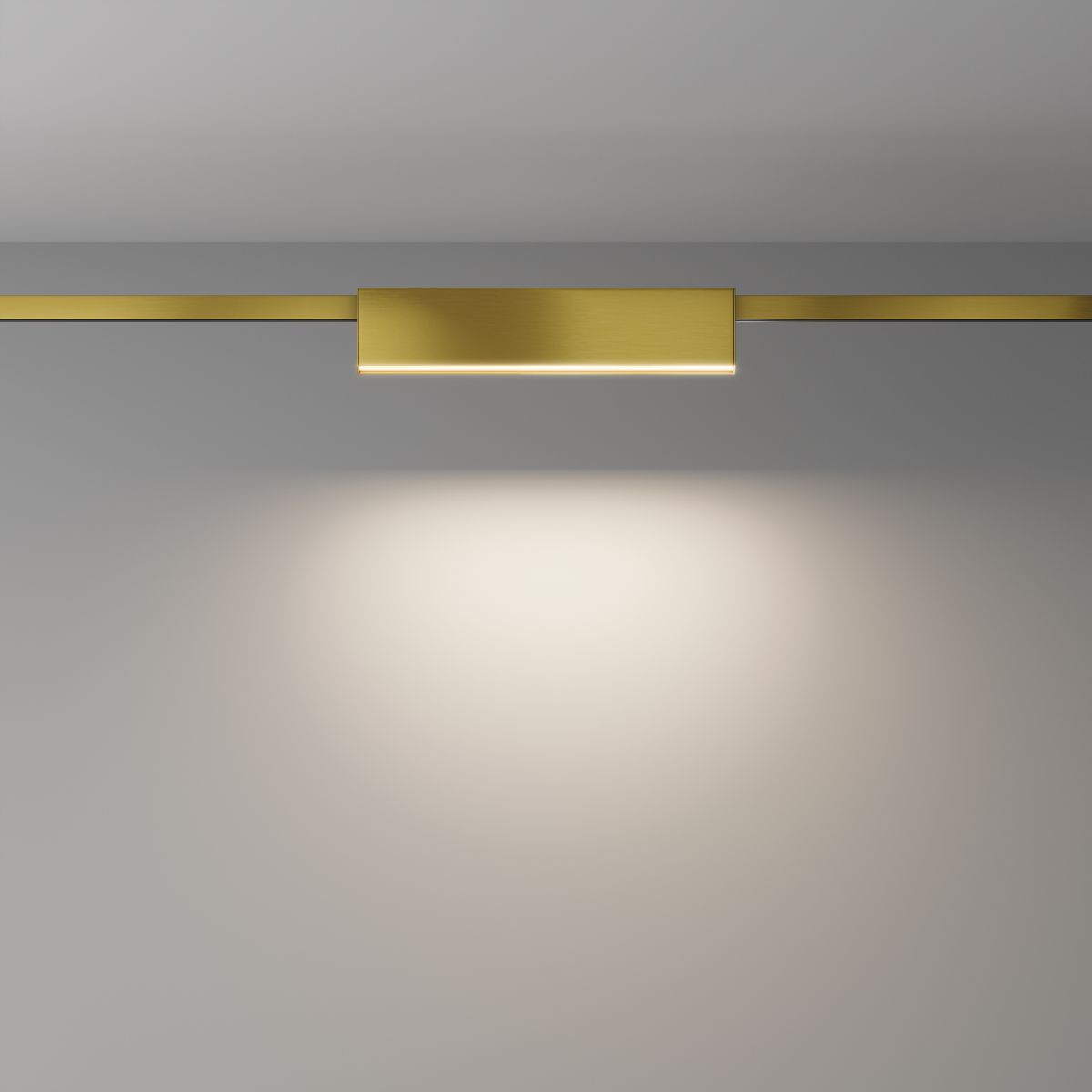 Трековый магнитный светильник Maytoni Basis TR151-1-18W4K-BS в Санкт-Петербурге