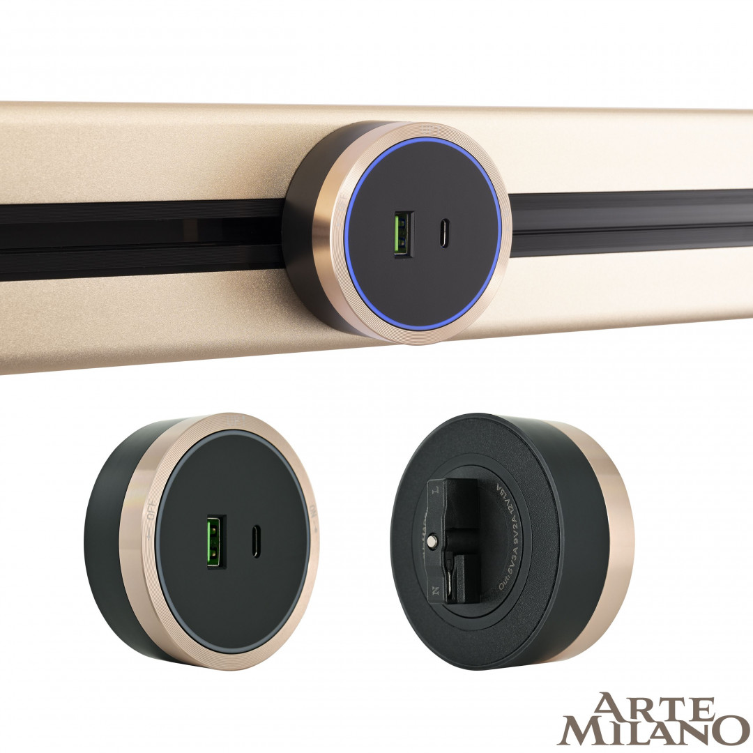 Трековая розетка Arte Milano Am-track-sockets 380066TS LED/USB-Type-C Gold в Санкт-Петербурге
