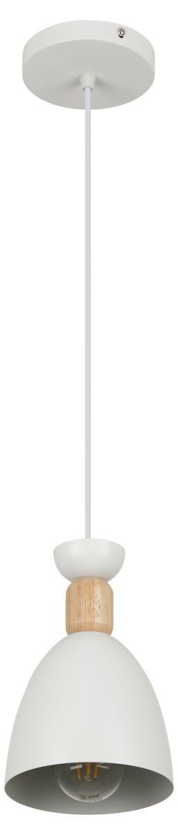 Подвесной светильник Rivoli Catherine 5109-201 Б0069910 в #REGION_NAME_DECLINE_PP#