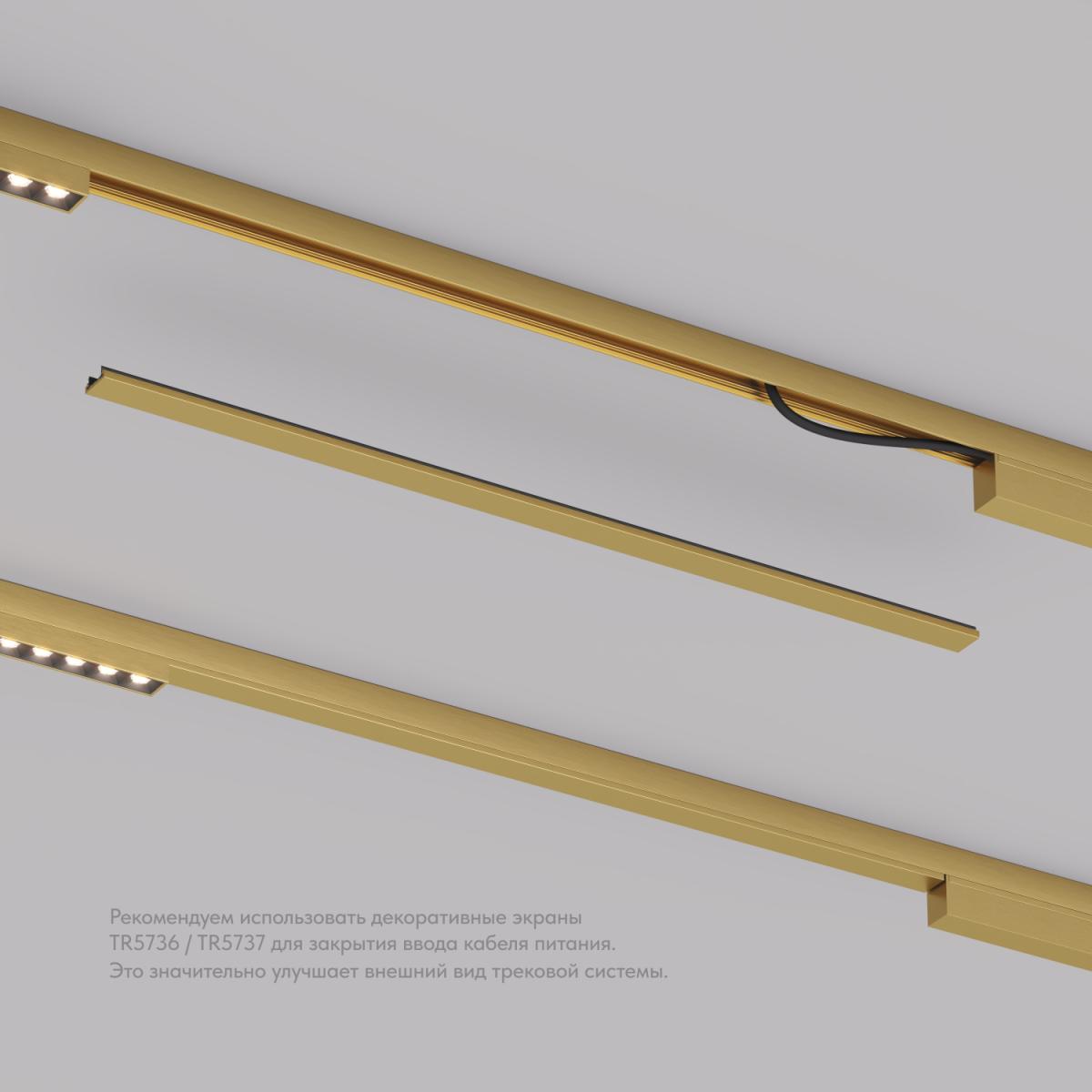 Декоративная заглушка желоба трека Denkirs Shine Base TR5737-SB в Санкт-Петербурге