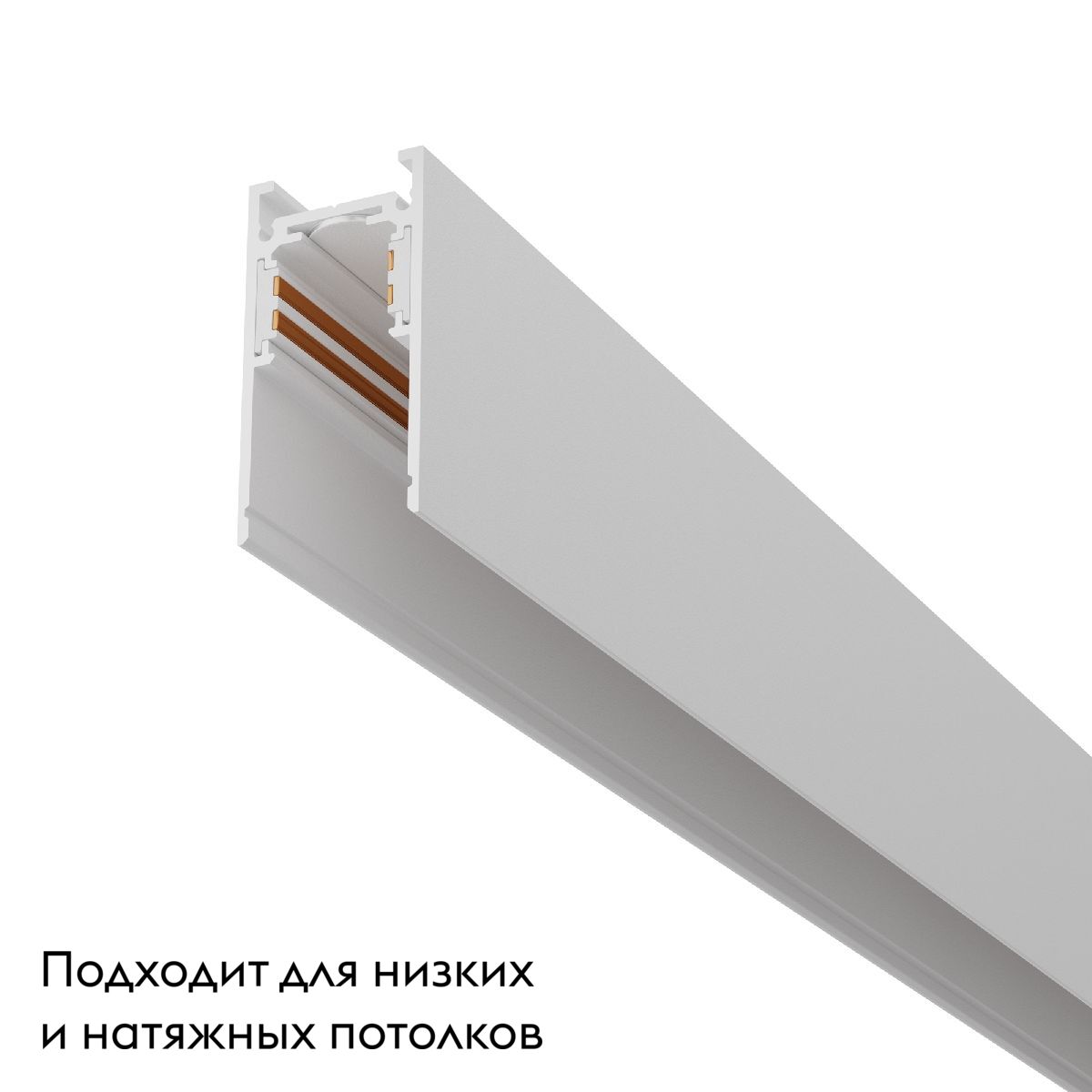 Шинопровод Maytoni Magnetic track system Exility TRX034-411W в Санкт-Петербурге