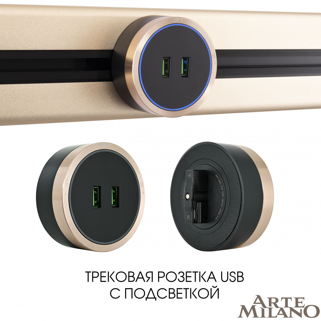 Трековая розетка Arte Milano Am-track-sockets 380066TS LED/USBx2 Gold в Санкт-Петербурге