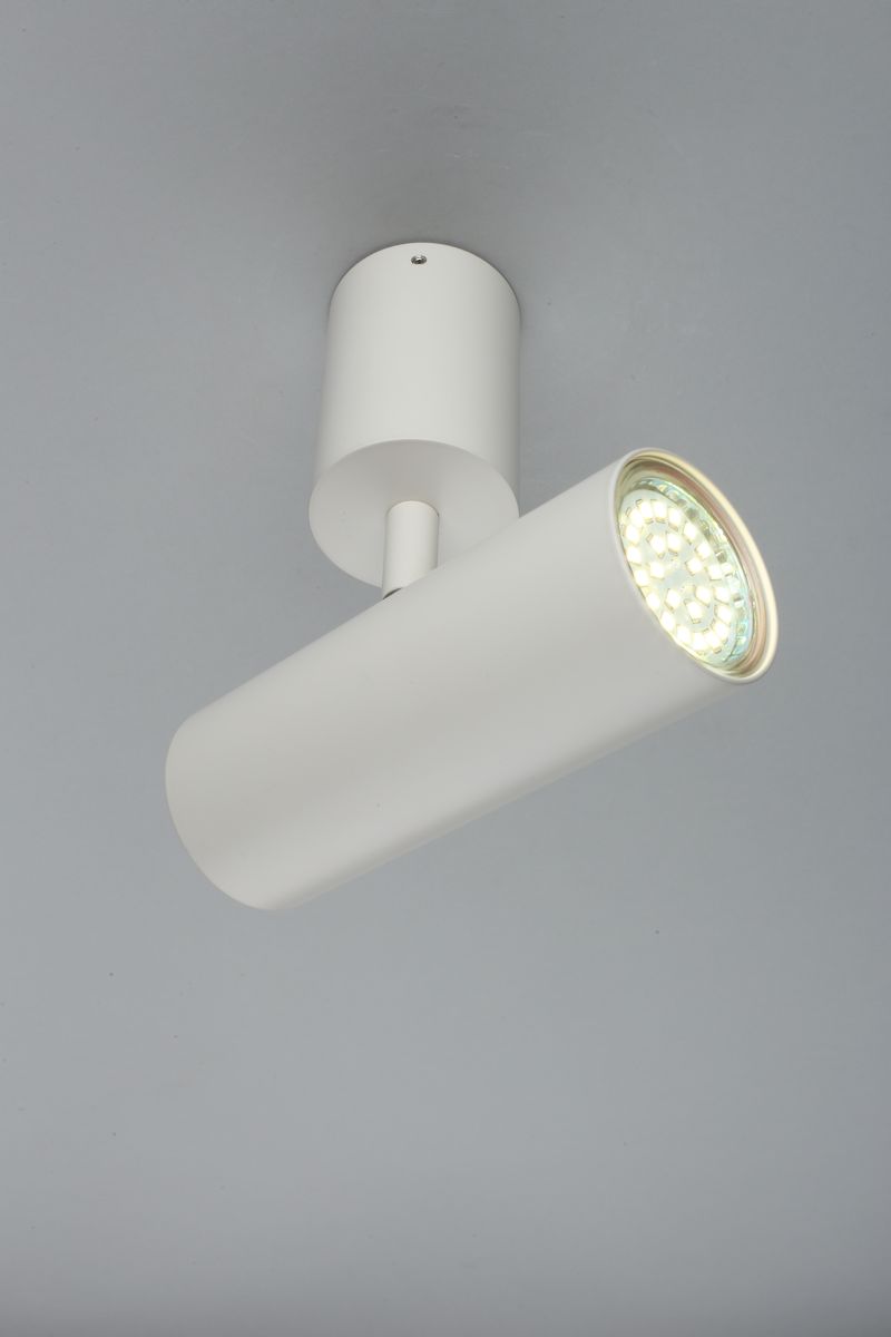 Настенно-потолочный светильник Aployt Berenis APL.007.02.01 в #REGION_NAME_DECLINE_PP#