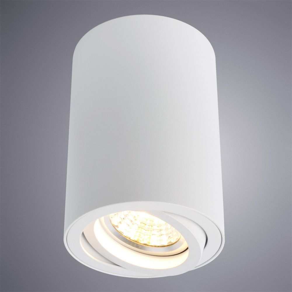 Потолочный светильник Arte Lamp A1560PL-1WH в Санкт-Петербурге