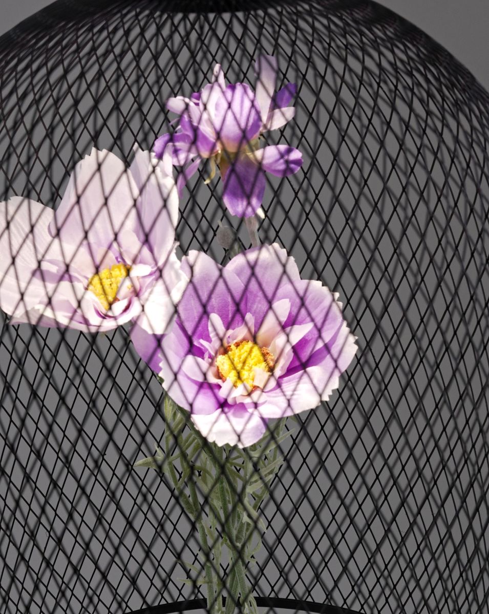 Подвесной светильник Moderli Ophelia V11875-PL в #REGION_NAME_DECLINE_PP#