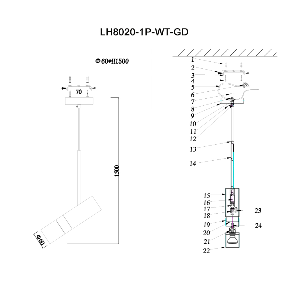 Подвесной светильник Lumien Hall Саурис LH8020/1P-WT-GD в #REGION_NAME_DECLINE_PP#