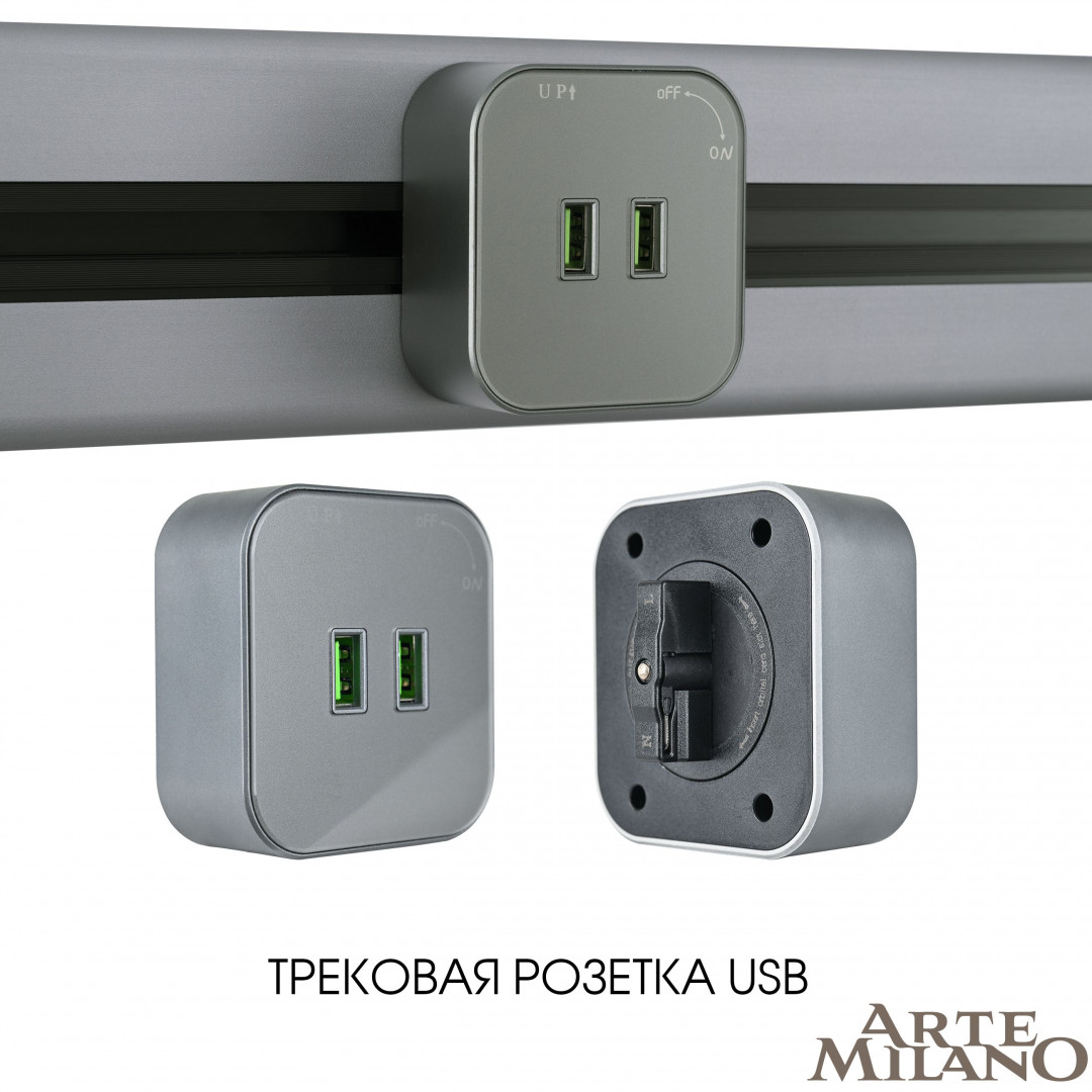 Трековая розетка Arte Milano Am-track-sockets 380022TS/USBx2 Grey в Санкт-Петербурге