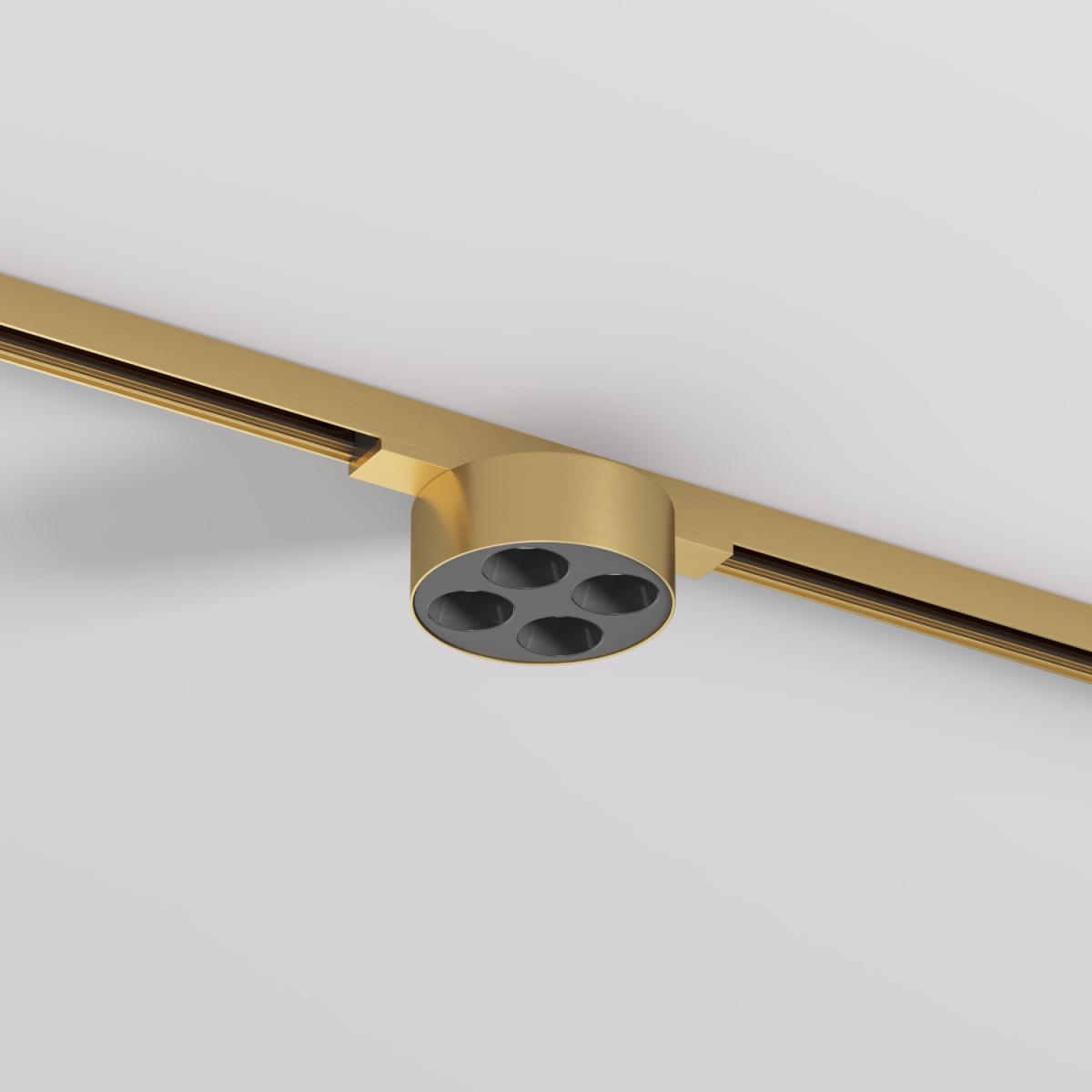 Трековый однофазный светильник Denkirs Shine grill DK5772-SB в Санкт-Петербурге