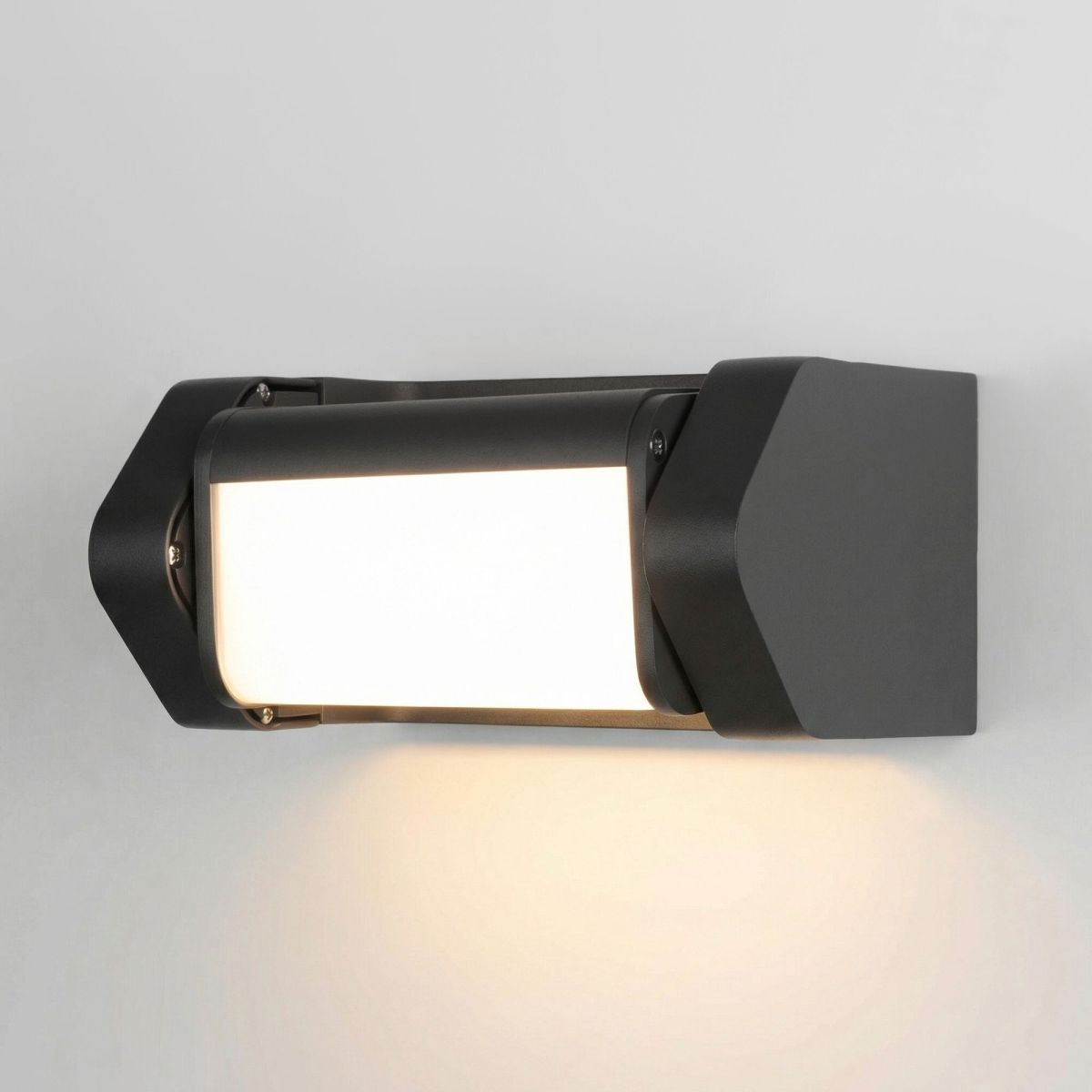 Уличный настенный светильник Elektrostandard DORS 35163/D черный 4690389219306 a072077 в Санкт-Петербурге