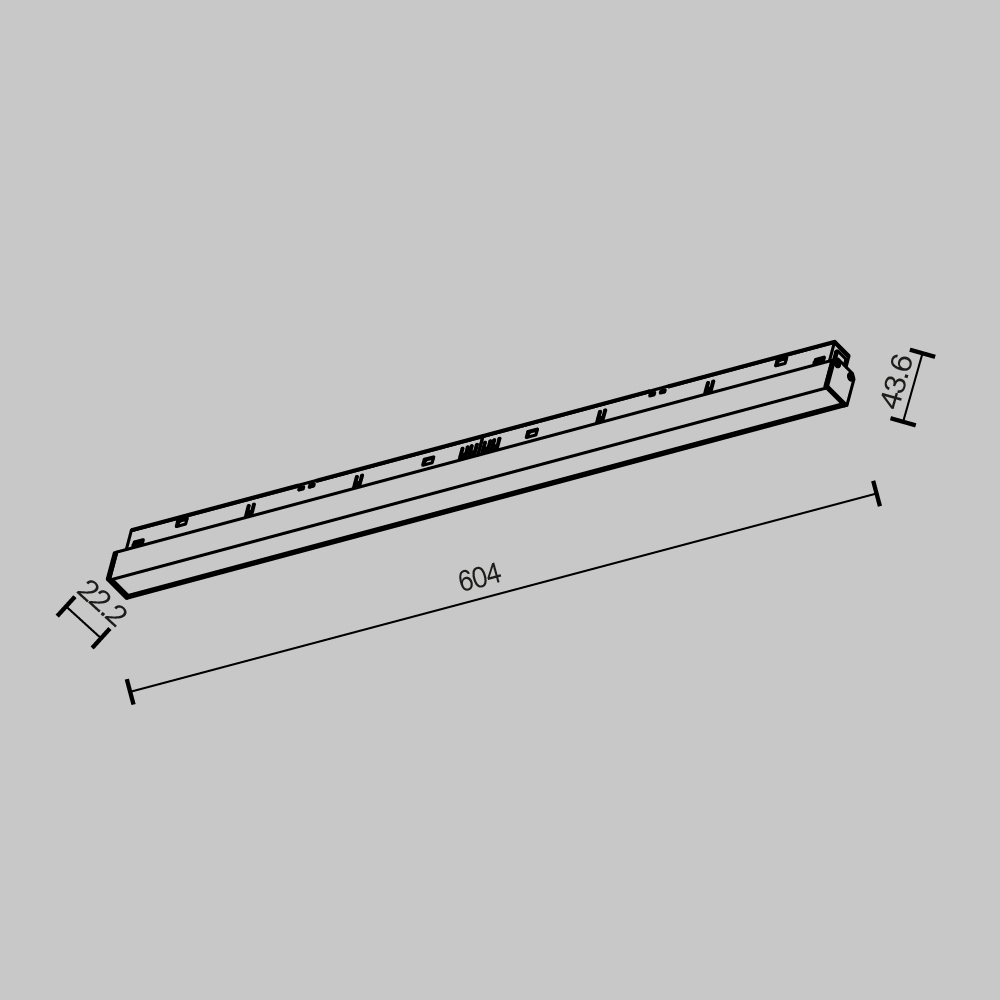 Трековый магнитный светильник Maytoni Basis TR030-2-24W2.7K-B в Санкт-Петербурге