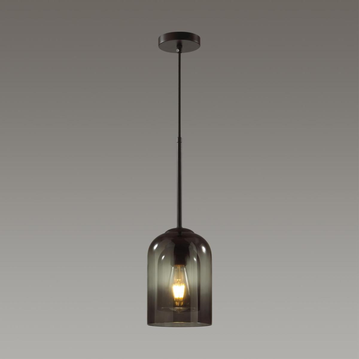 Подвесной светильник Lumion Boris 5281/1 в Санкт-Петербурге