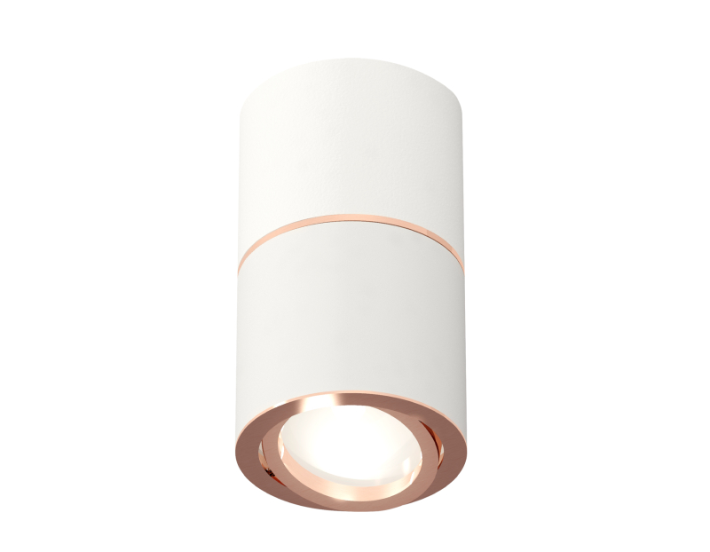 Потолочный светильник Ambrella Light Techno Spot XS7401220 (C7401, A2073, C7401, N7005) в Санкт-Петербурге