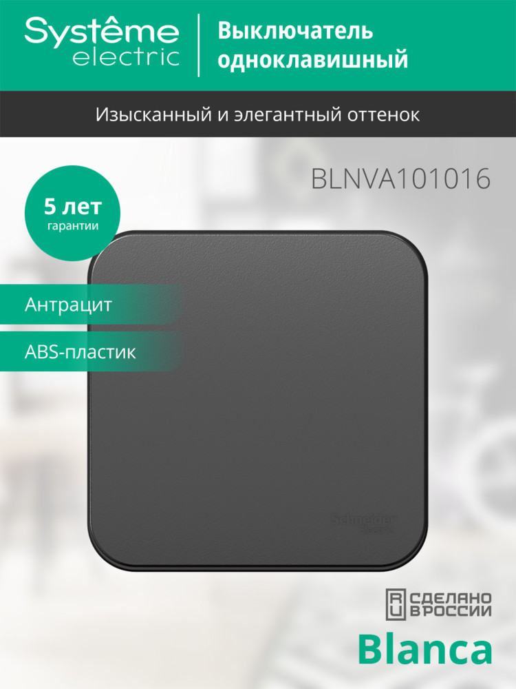 Выключатель 1-клавишный 10А 250B изолир. Пластина Systeme Electric Blanca наруж Антрацит BLNVA101016 в Санкт-Петербурге
