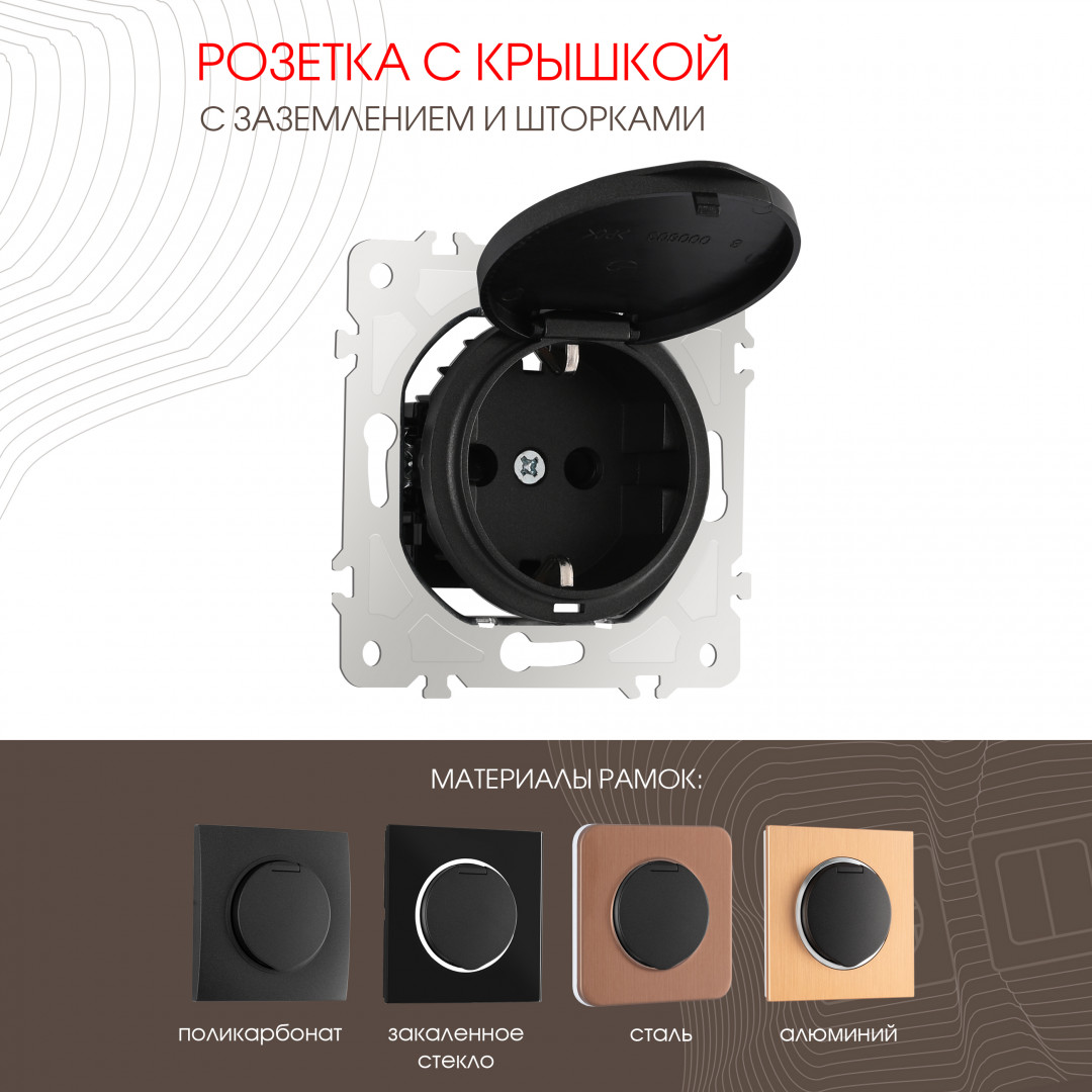 Розетка с заземлением, шторками и защитной крышкой Arte Milano 202.41-1.black в #REGION_NAME_DECLINE_PP#