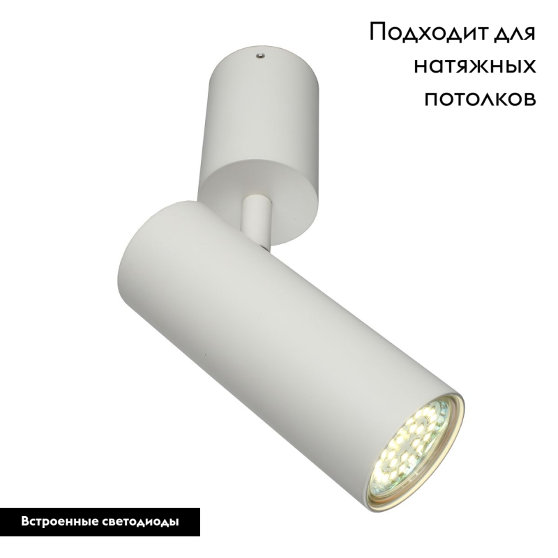 Настенно-потолочный светильник Aployt Berenis APL.007.02.01 в #REGION_NAME_DECLINE_PP#