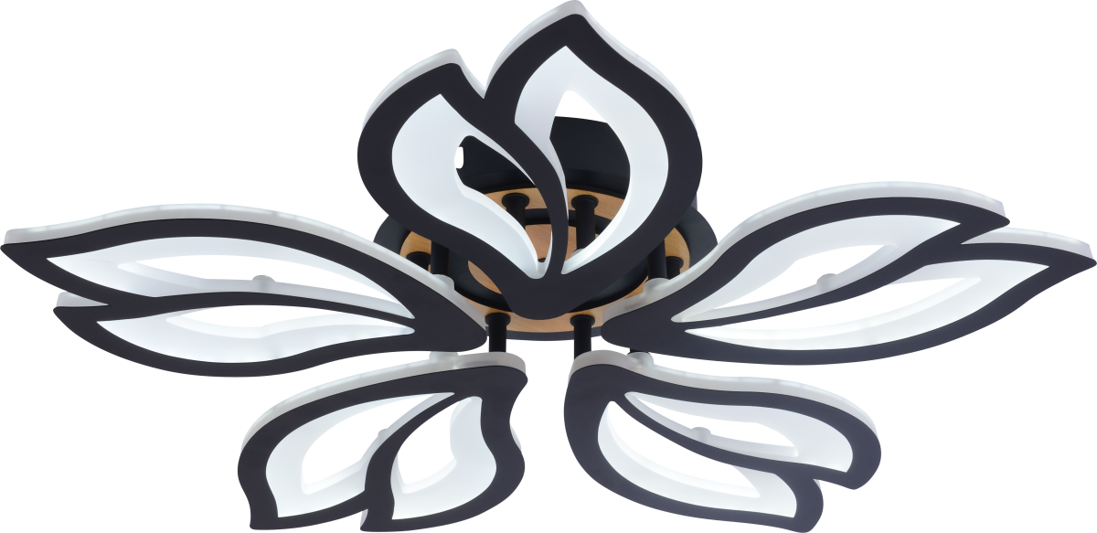 Потолочный светильник Rivoli Lana 6195-733 Б0070143 в Санкт-Петербурге