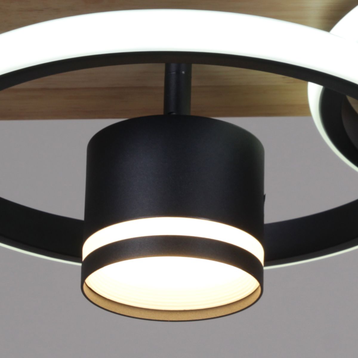 Потолочный светильник Reluce 29560-0.3-2+2 BK+WOOD в Санкт-Петербурге