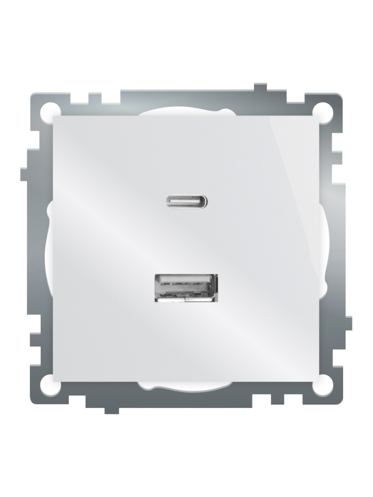 Розетка 2-местная USB + type C Stekker Катрин GLS10-7116-01 50051 в Санкт-Петербурге
