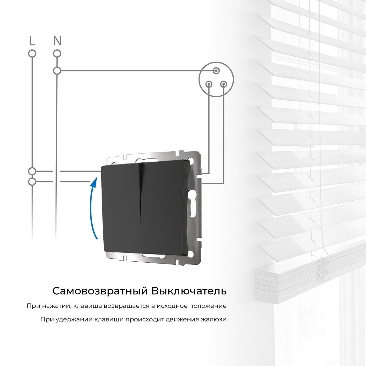 Выключатель двухклавишный с самовозвратом Werkel 4690389192340 W1122408 a062575 в Санкт-Петербурге